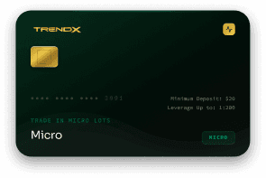 Micro Account